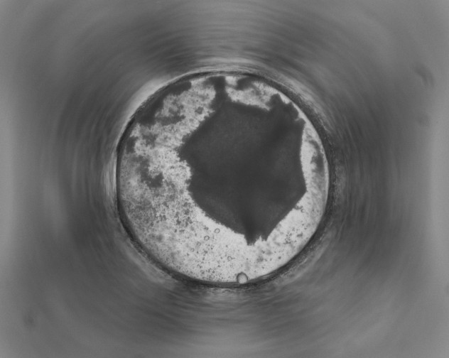 X0000111461275200908241312