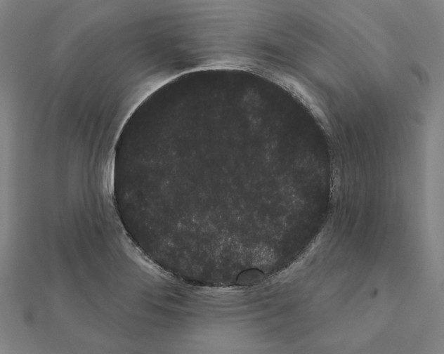 X0000111461276200908241312