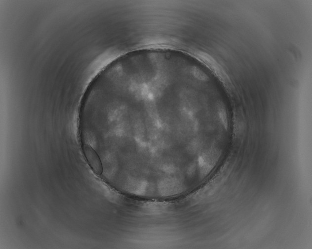 X0000111461277200908241312