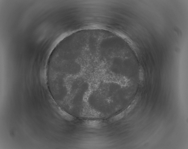 X0000111461278200908241312