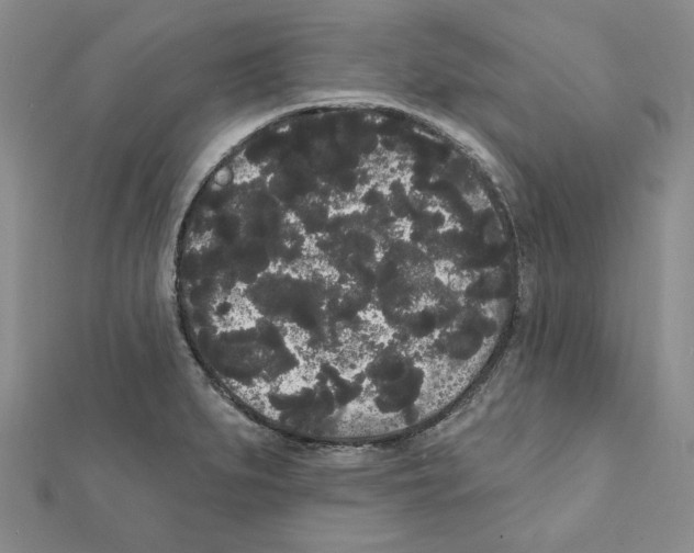 X0000111461279200908241312