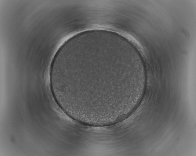 X0000111461280200908241311
