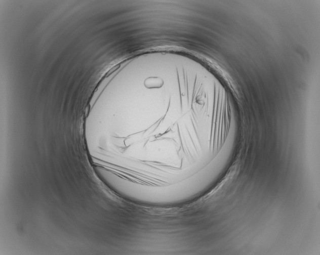 X0000111461281200908241311