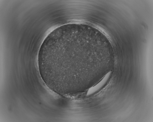 X0000111461283200908241311