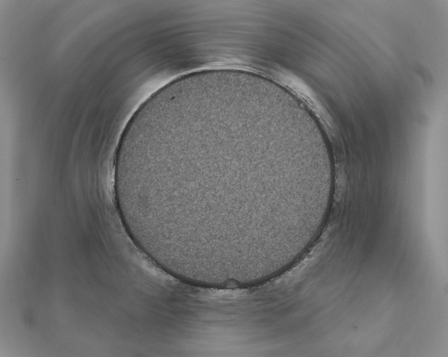 X0000111461284200908241311