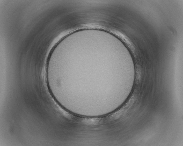 X0000111461286200908241311