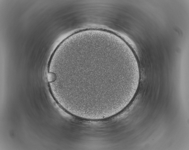 X0000111461287200908241311