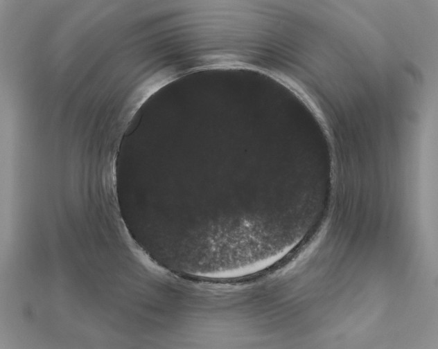 X0000111461289200908241311
