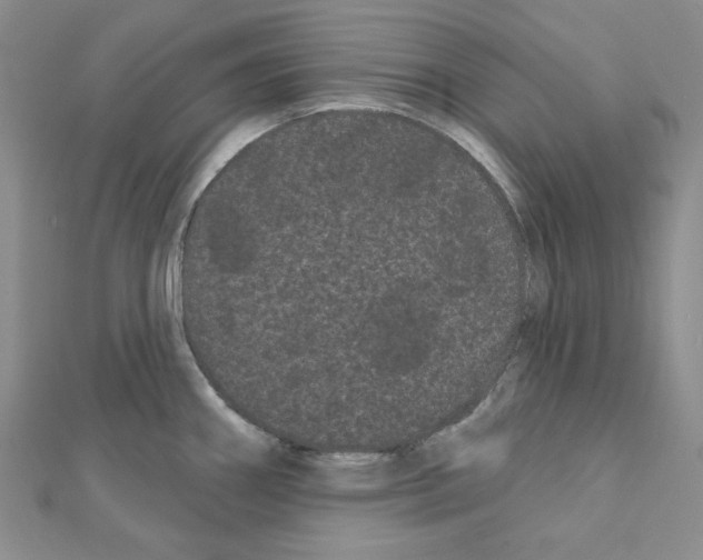 X0000111461290200908241311