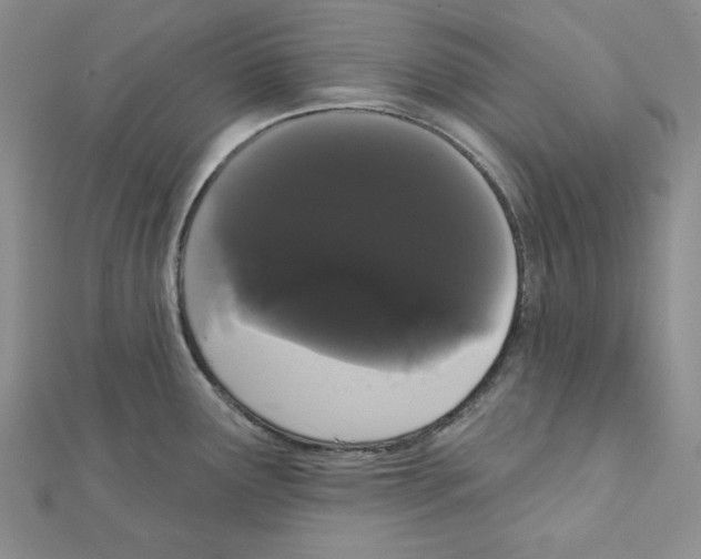 X0000111461291200908241311