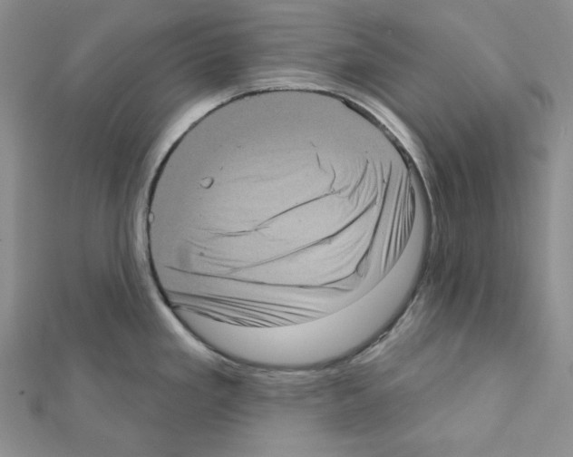 X0000111461293200908241311