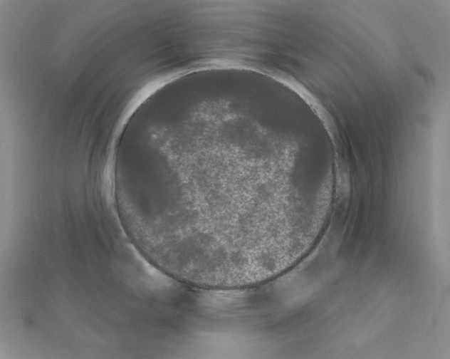 X0000111461294200908241311
