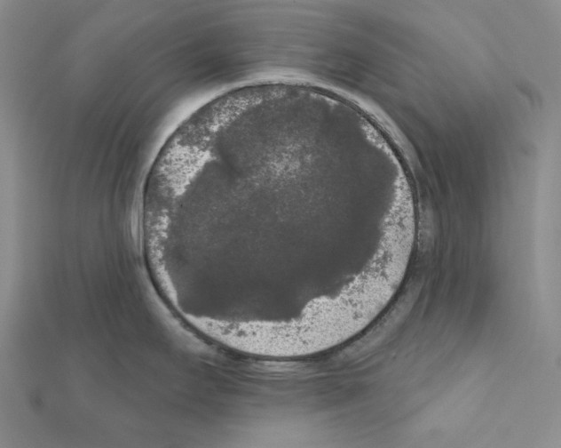 X0000111461295200908241311