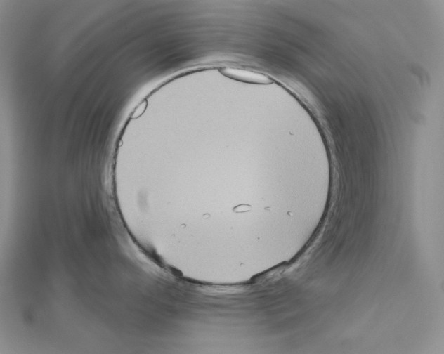 X0000111461296200908241311