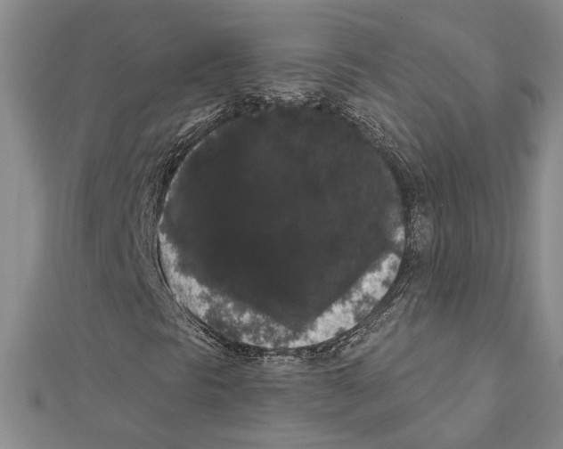 X0000111461297200908241311