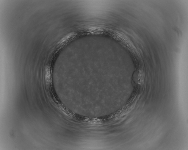 X0000111461298200908241311