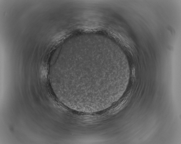X0000111461300200908241311