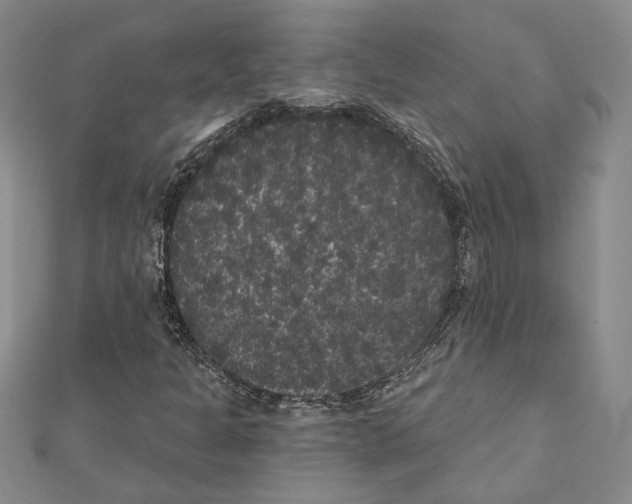 X0000111461301200908241311