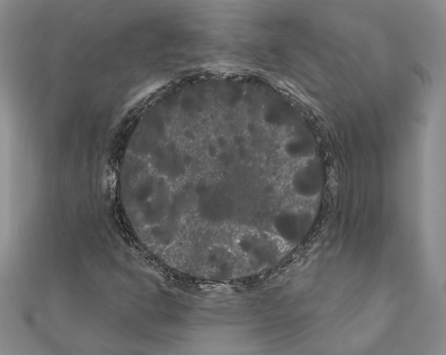 X0000111461302200908241311