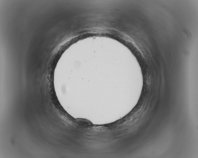 X0000111461304200908241311