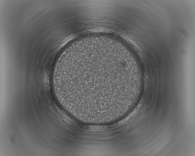X0000111461305200908241311