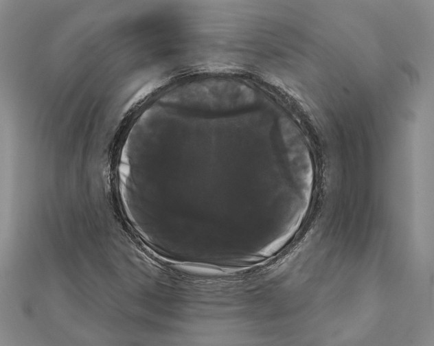 X0000111461306200908241311