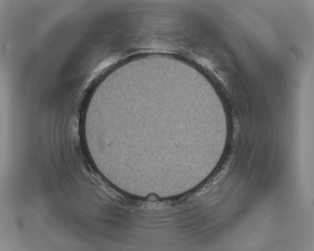 X0000111461307200908241311