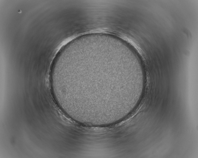 X0000111461308200908241311
