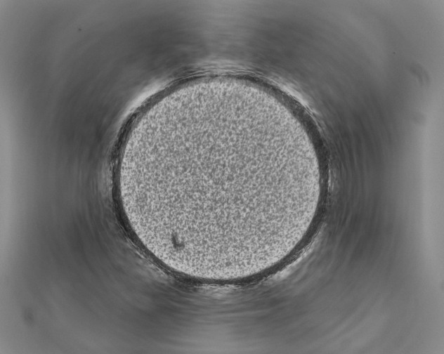 X0000111461309200908241311