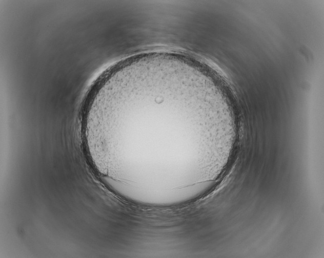 X0000111461310200908241311