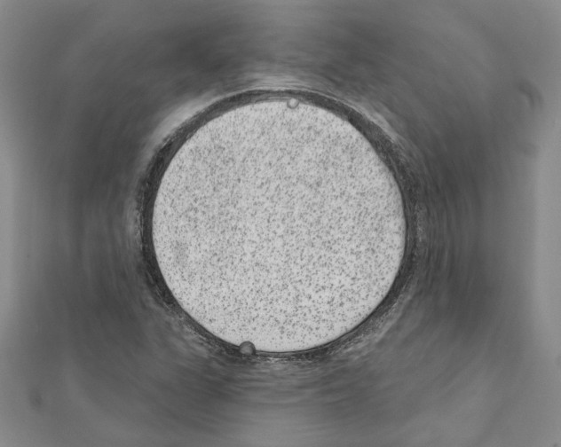 X0000111461311200908241311