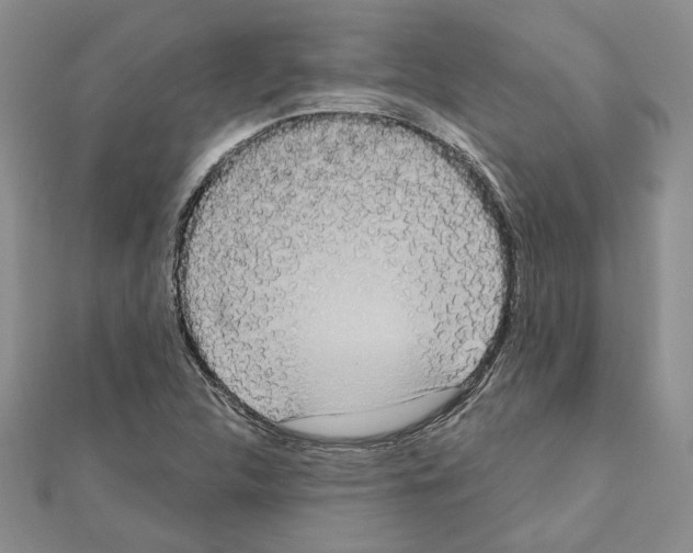 X0000111461312200908241311