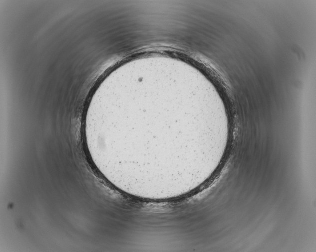 X0000111461313200908241311