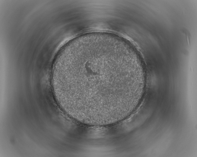 X0000111461314200908241311