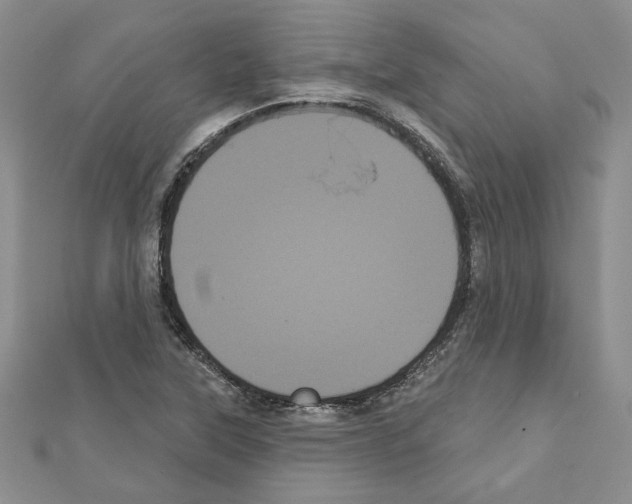 X0000111461315200908241311