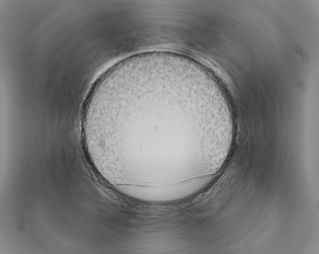 X0000111461316200908241311