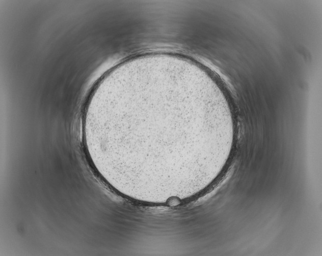X0000111461317200908241311