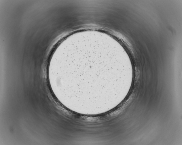 X0000111461318200908241311