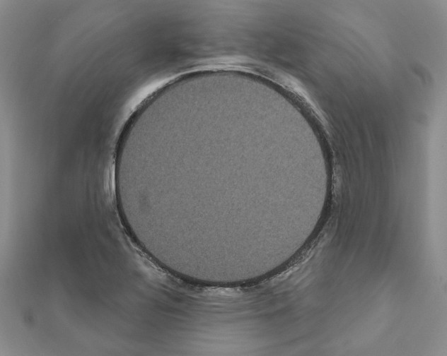X0000111461320200908241311