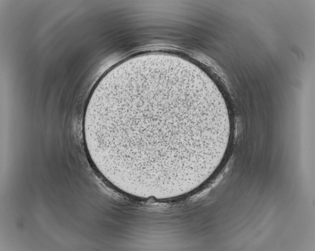 X0000111461321200908241311