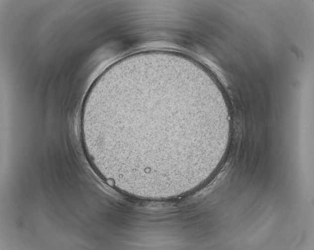 X0000111461322200908241311