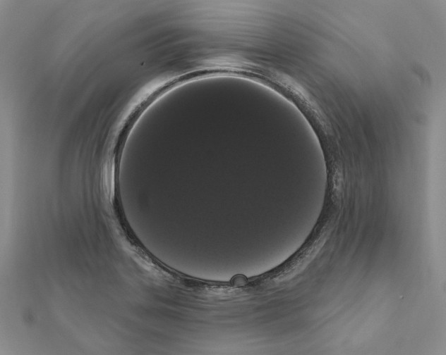 X0000111461323200908241311