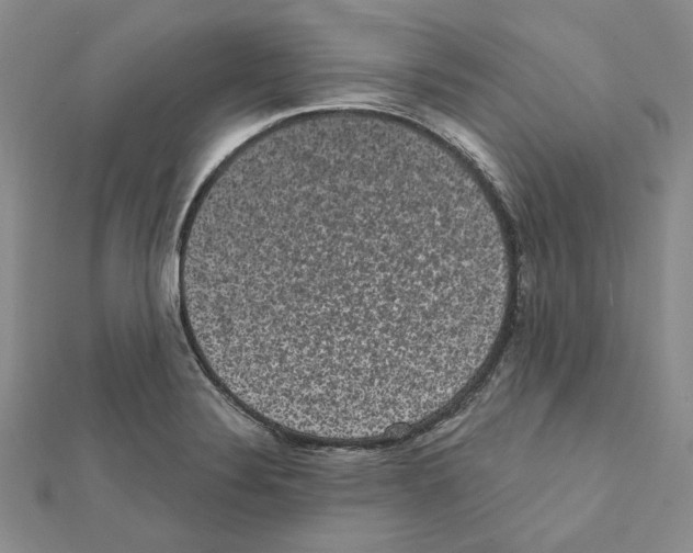 X0000111461324200908241311