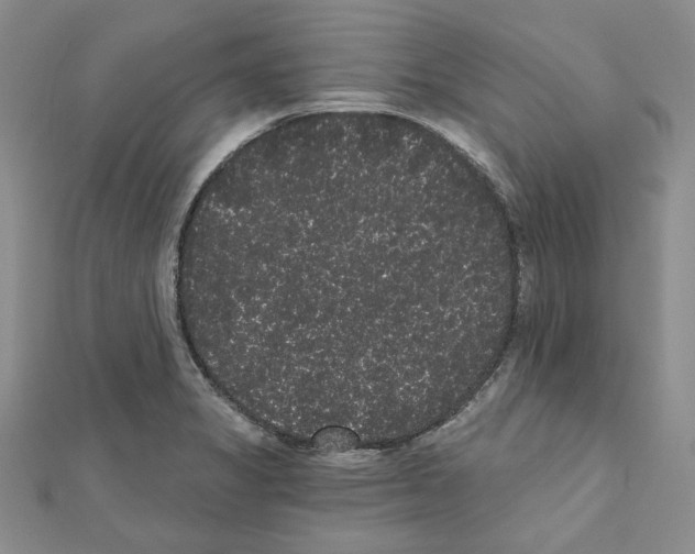 X0000111461325200908241311