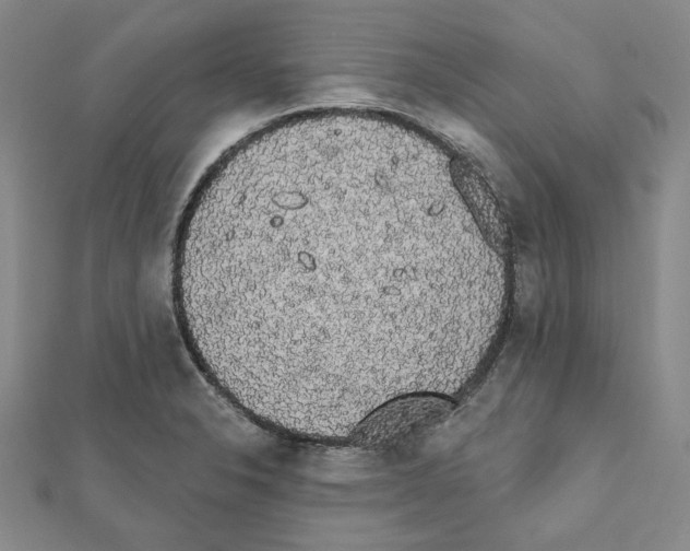 X0000111461326200908241311