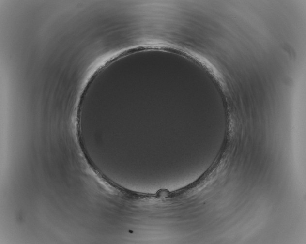 X0000111461327200908241311