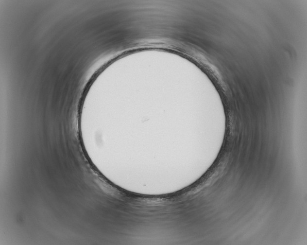 X0000111461328200908241311