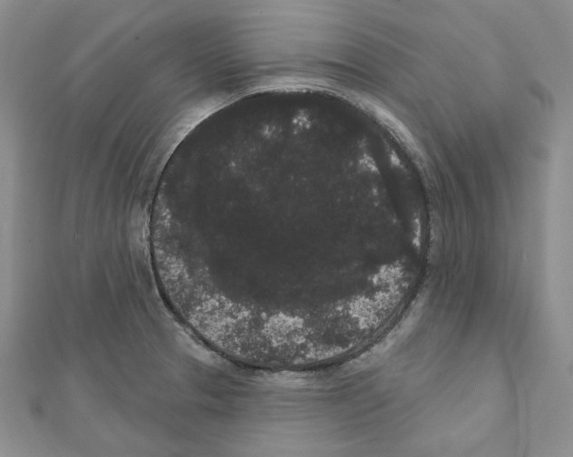 X0000111461329200908241311