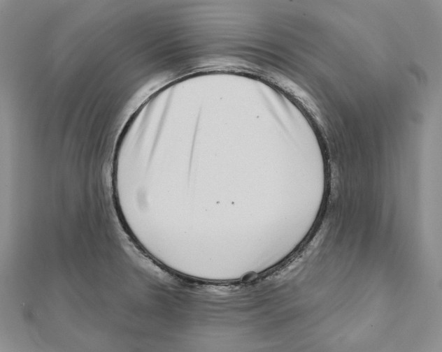 X0000111461330200908241311