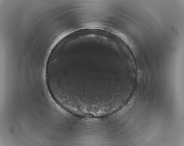 X0000111461331200908241311